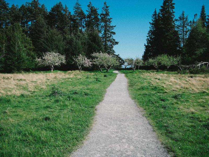 核爆后的彩虹<br>sybmuzg.cn 变异生物图鉴
